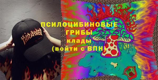 ГАЛЛЮЦИНОГЕННЫЕ ГРИБЫ Армянск