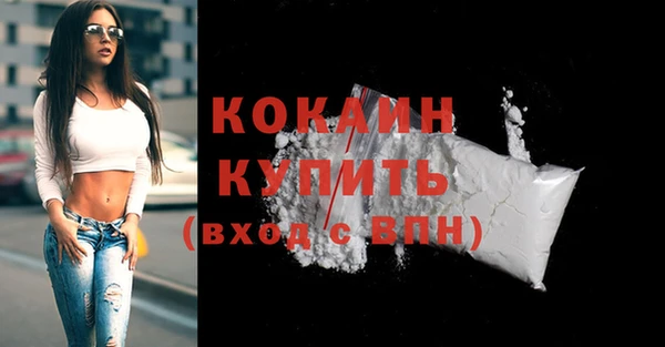гидра Коряжма