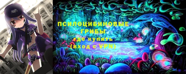 мяу мяу мука Алзамай